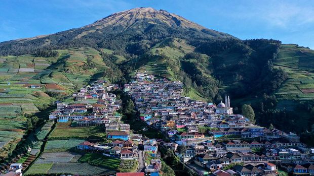 Nepal Van Java